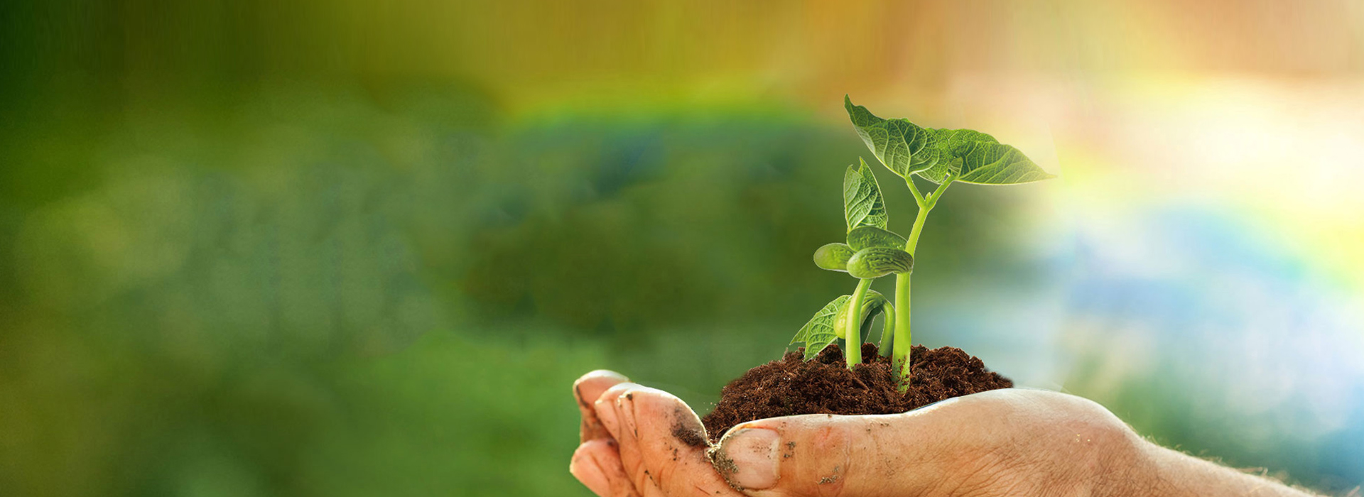 CA88(中国区)官方网站入口