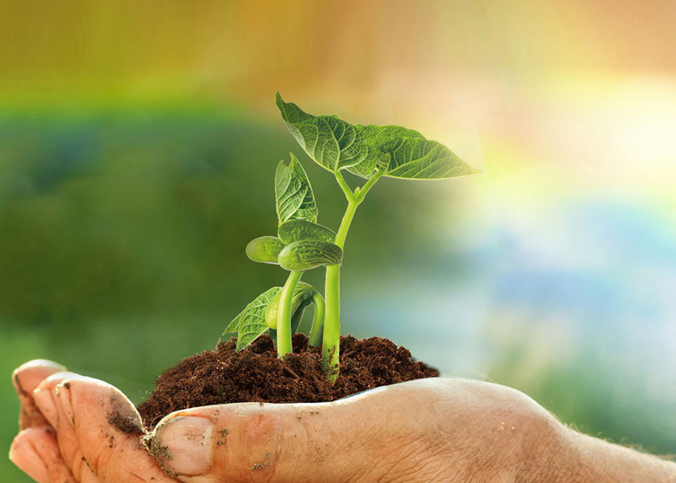 CA88(中国区)官方网站入口