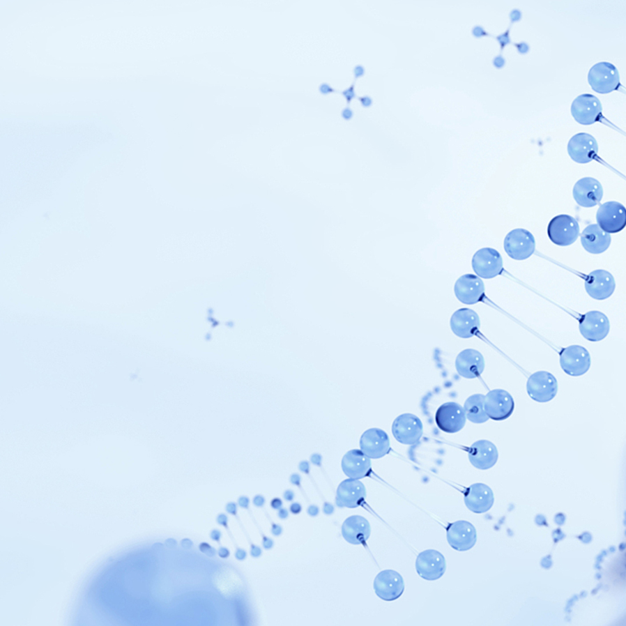 CA88(中国区)官方网站入口