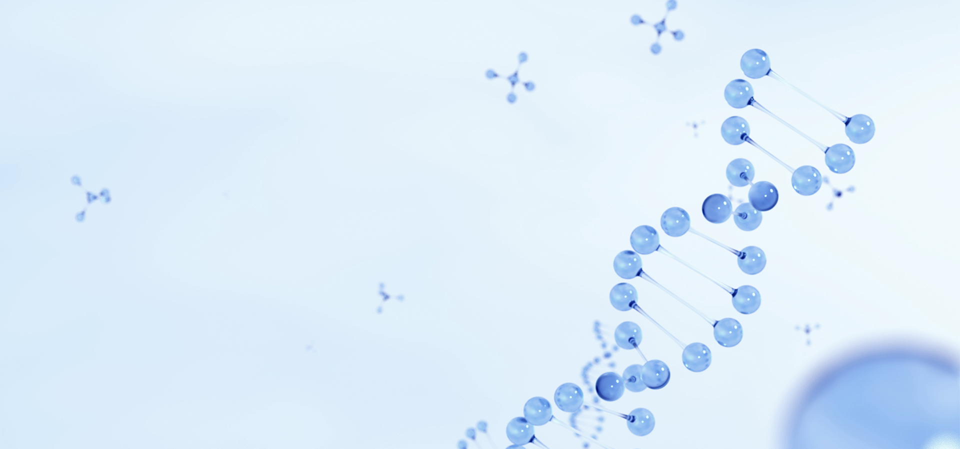 CA88(中国区)官方网站入口